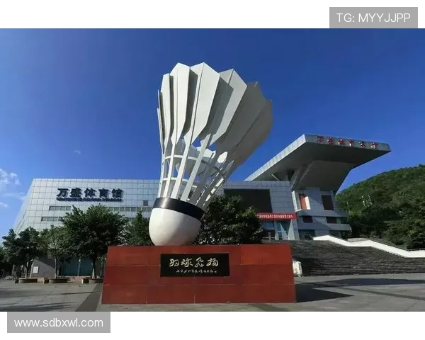 成都篮球队战术创新引领潮流实现历史新高的背后故事